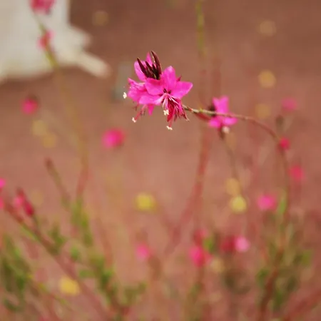 アパート Apartamento Playa Blanca